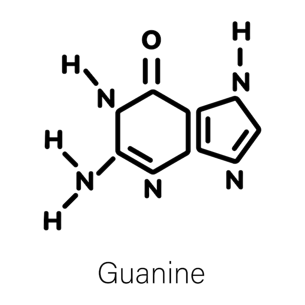 Vecteur une image en noir et blanc d'une image géométrique d'un r h