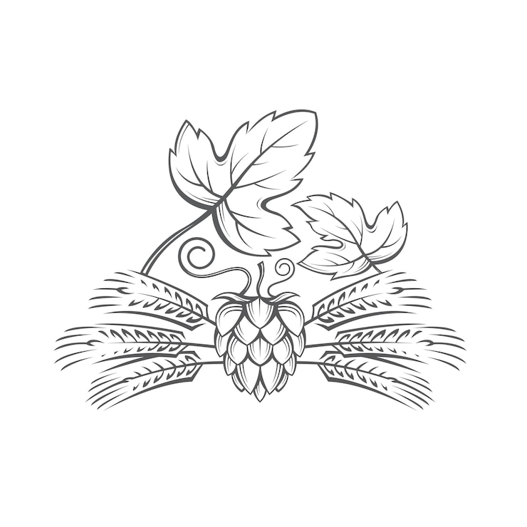 Vecteur image d'oreille de houblon et d'orge