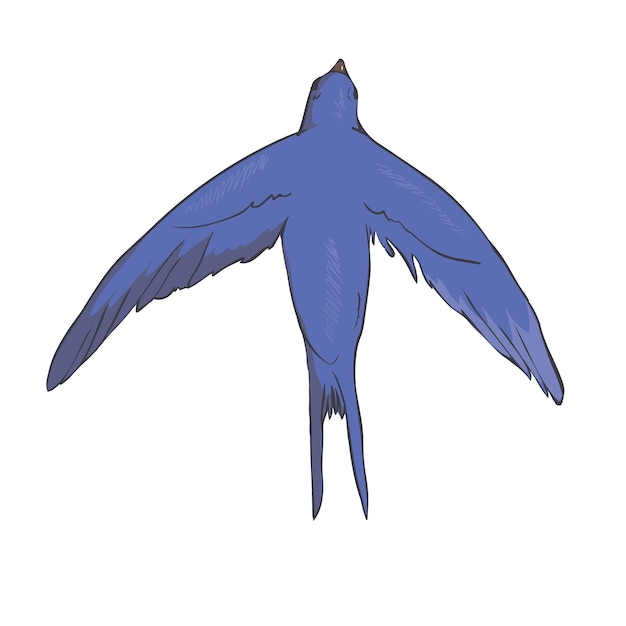 image simplifiée d'une hirondelle volante isolée sur fond blanc.