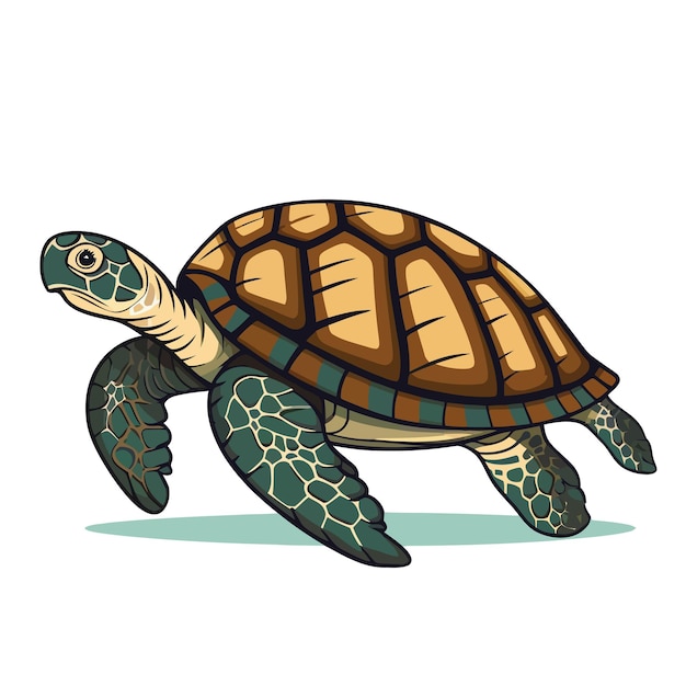 Image de tortue Dessin abstrait de tortues Tortue mignonne isolée Illustration vectorielle