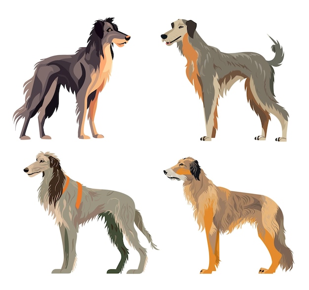 Image Vectorielle Art Plat Simplifiée De Wolfhound