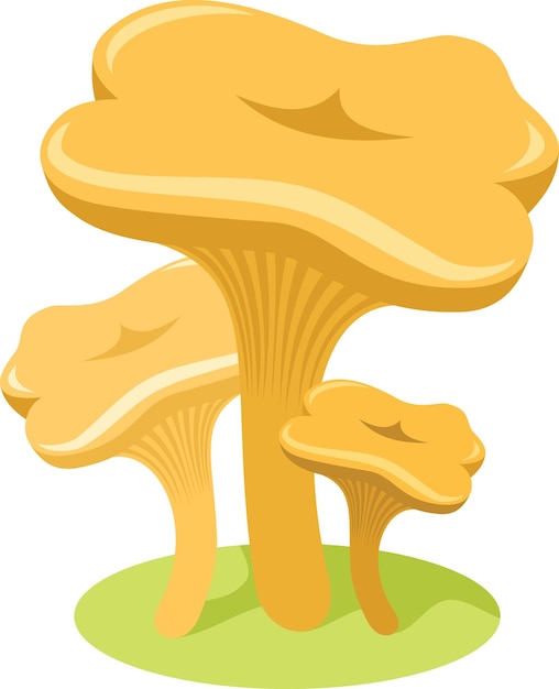 Vecteur image vectorielle d'un champignon chantarelle illustration de la nourriture