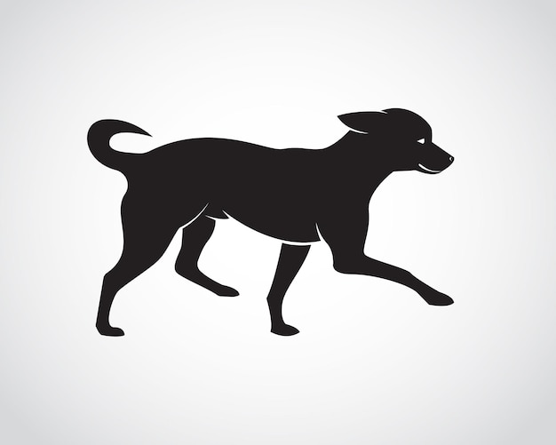 Image vectorielle d'un chien sur fond blanc. Chiots Chihuahua