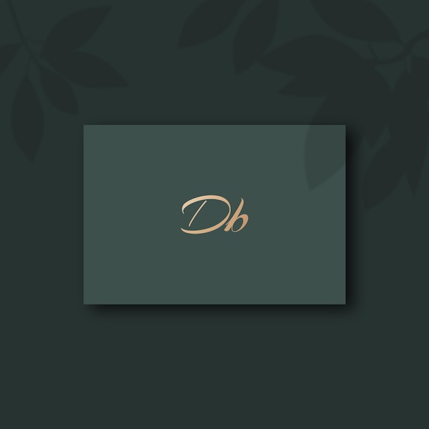 Image vectorielle de la conception du logo Db
