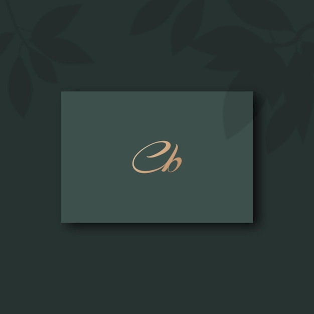 Image vectorielle de conception de logo Cb