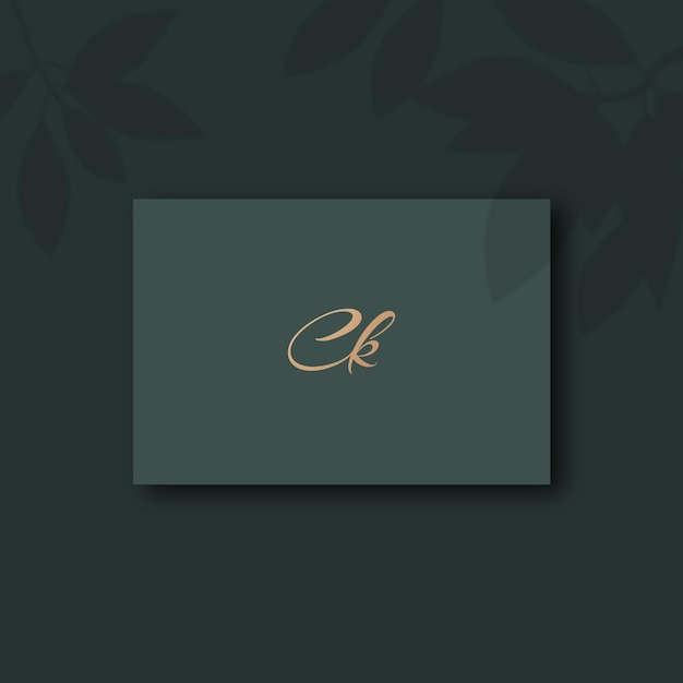 Image vectorielle de conception de logo Ck