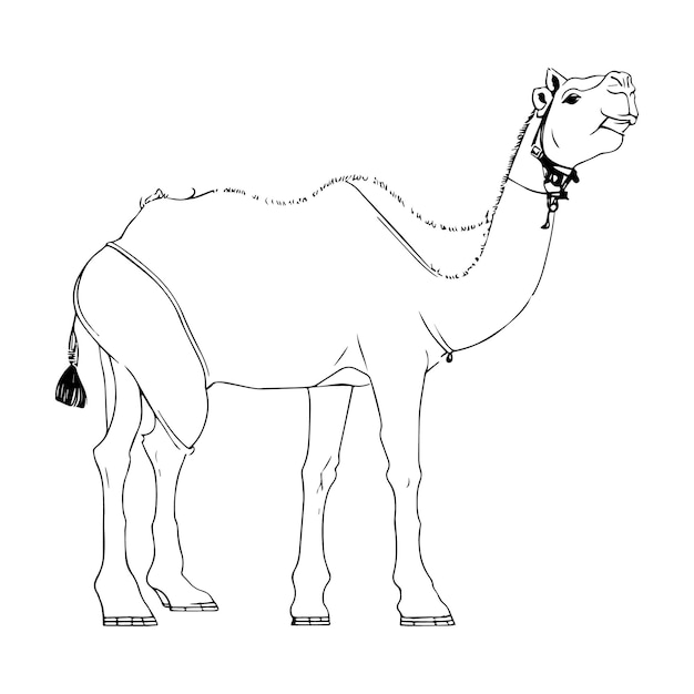 Vecteur image vectorielle dessin à la main illustration de contour de chameau