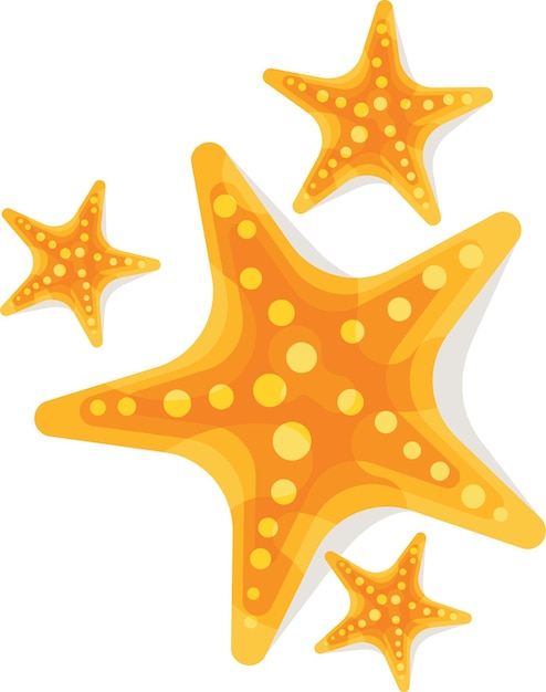 Image Vectorielle D'étoiles De Mer De Différentes Tailles Isolées Sur Fond Transparent