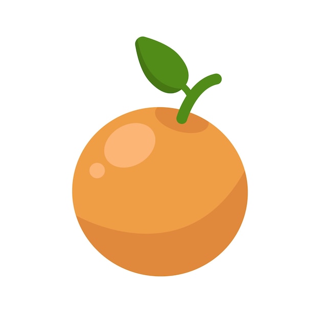 Vecteur image vectorielle de fruits orange