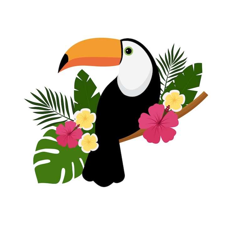 Vecteur image vectorielle d'un oiseau toucan tropical lumineux sur fond blanc icône colorée de la nature tropicale