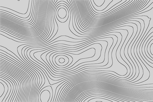 Vecteur imitation d'une carte géographique, lignes noires sur fond gris, dessin vectoriel