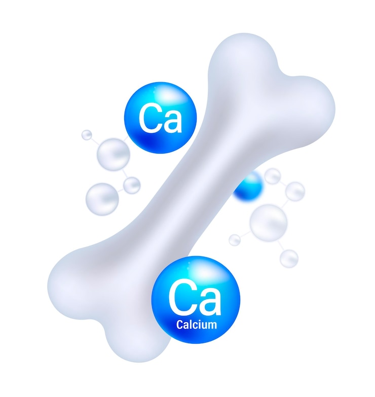 Vecteur importance du calcium pour la force osseuse une représentation vectorielle de la densité osseuse et des suppléments minéraux