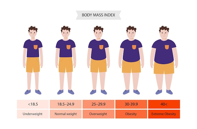 Vecteur indice de masse corporelle enfants