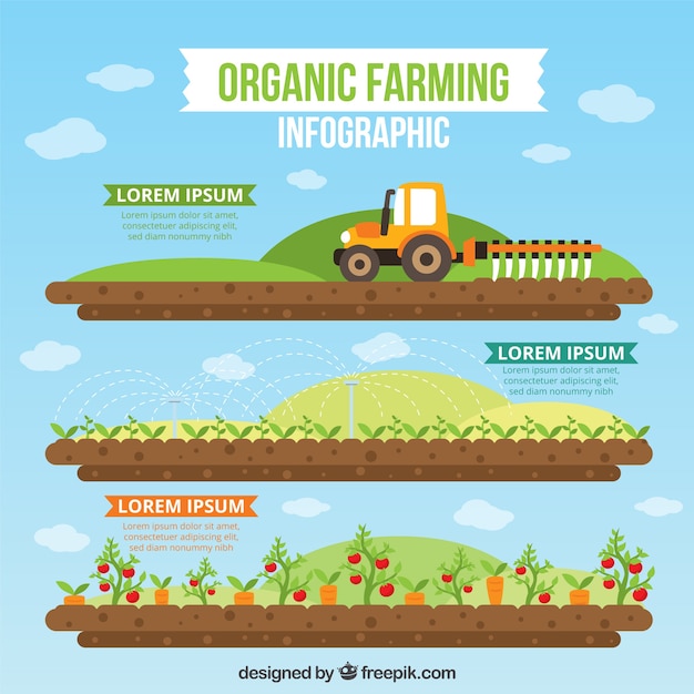 Vecteur infographie de l'agriculture biologique dans la conception plate