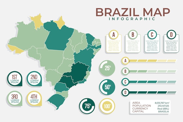 Vecteur infographie de la carte du brésil au design plat