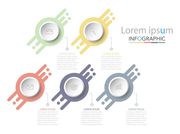 Infographie De La Chronologie Avec 5 étapes Ou Options.