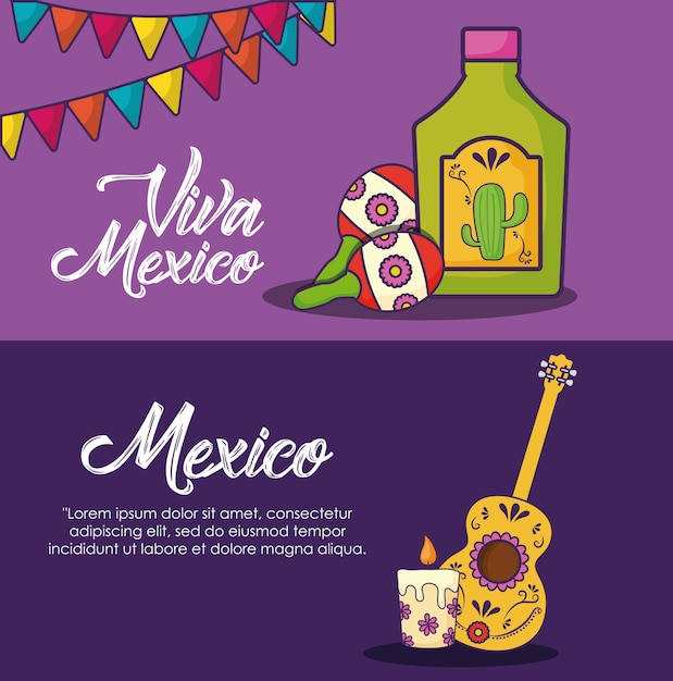 Infographie De Concept De Viva Mexico