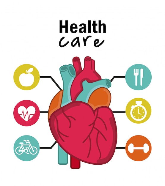 Vecteur infographie de la conception de la cardiologie sur fond blanc