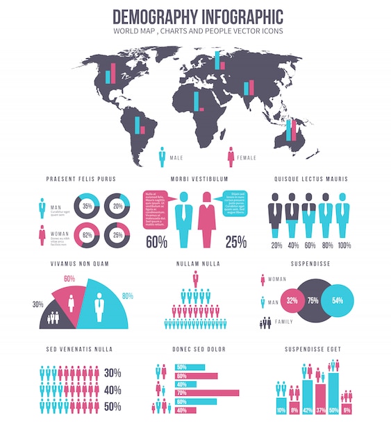 Vecteur infographie démographique