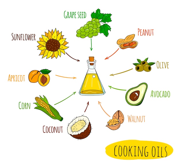 Infographie Dessiné à La Main De Sortes D'huile De Cuisson