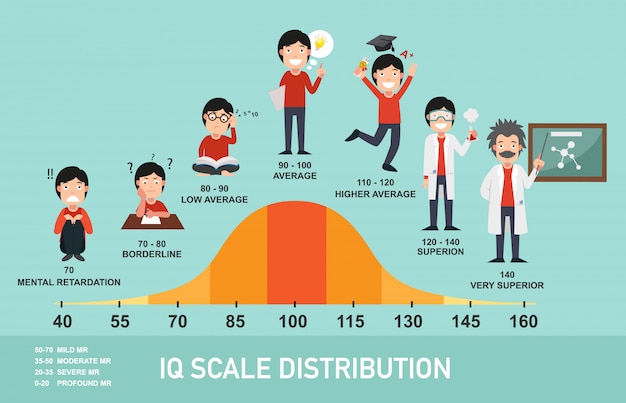 Vecteur infographie de la distribution de l'échelle de qi,