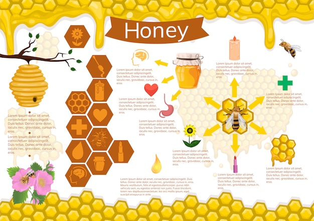 Infographie Du Miel Et Des Abeilles.