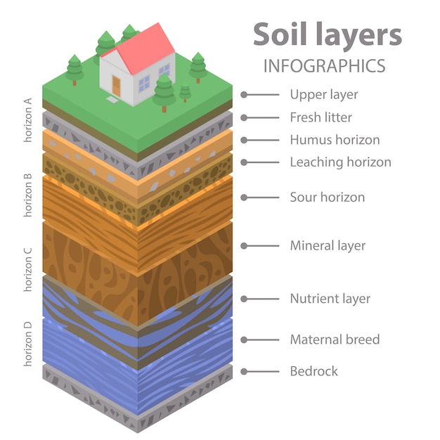 Infographie Du Sol, Style Isométrique