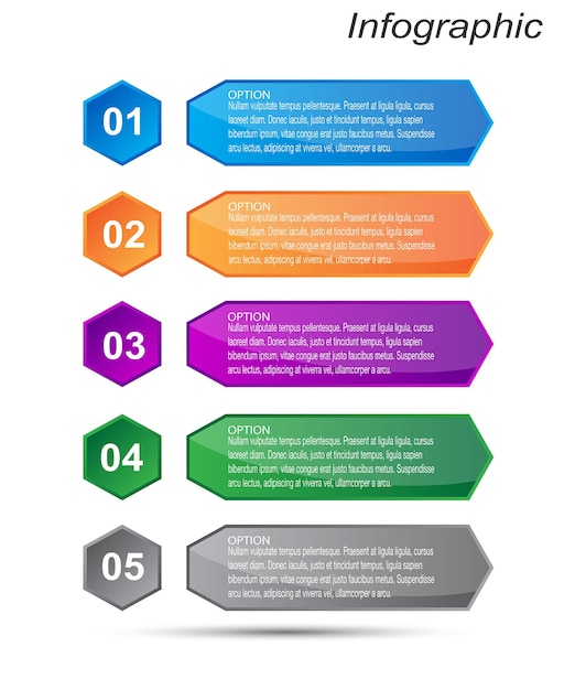 Infographie avec étapes et options