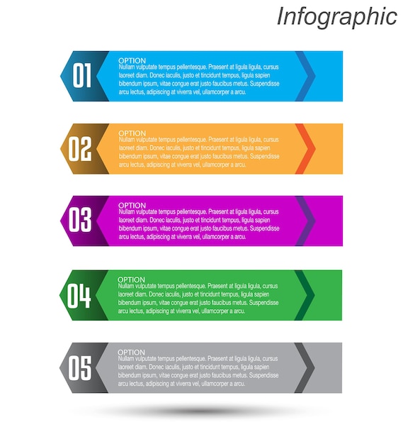 Infographie Avec étapes Et Options