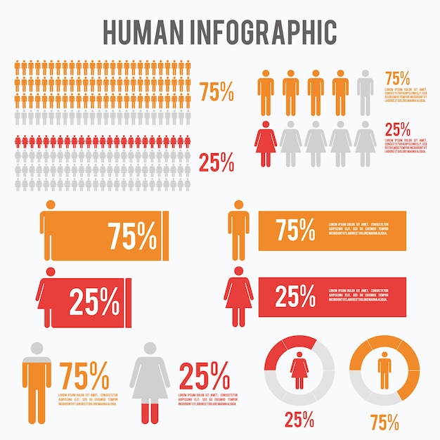 Infographie Humaine