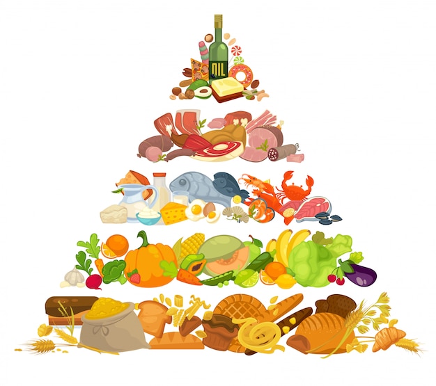 Infographie de la pyramide alimentaire saine alimentation.