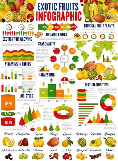 Vecteur infographie de récolte de fruits exotiques