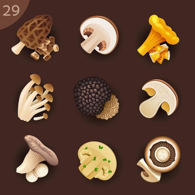 Ingrédients Alimentaires Vector Icon Set 29 Champignons