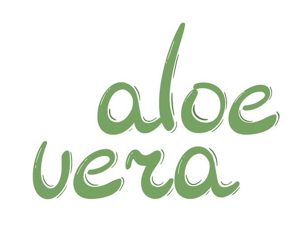 L'inscription Aloe Vera Texte dessiné à la main en vert avec des reflets Illustration vectorielle isolée