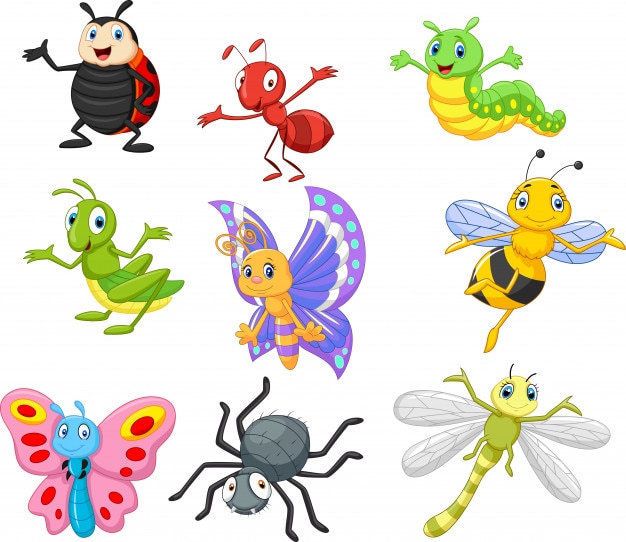 Vecteur insecte de bande dessinée