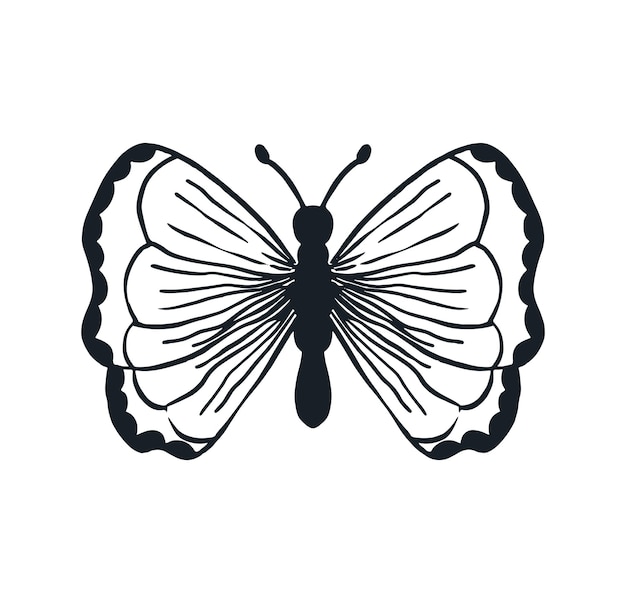 Un Insecte Dessiné à La Main Par Clip Art Butterfly