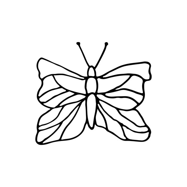 Vecteur insecte papillon doodle illustration vectorielle dessinée à la main contour