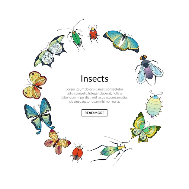 Insectes Dessinés à La Main En Forme De Cercle