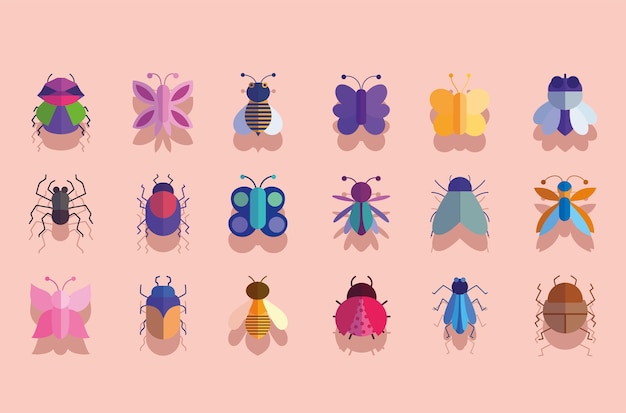 Insectes Mignons Animaux Petite Faune En Illustration D & # 39; Icônes De Dessin Animé