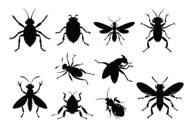 Les insectes sautent, se tiennent debout, marchent, posent autre chose, silhouette noire, illustration vectorielle plate.