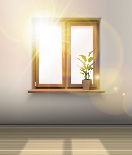 intérieur. Fenêtre en bois avec une plante et le soleil qui brille à travers le verre.