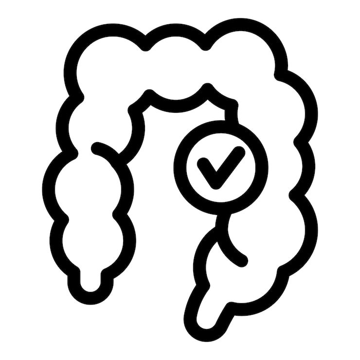 Vecteur intestin en bonne santé avec un symbole de marque de contrôle pour une bonne digestion