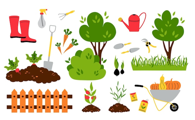Inventaire du jardin. Les graines de dessin animé prévoient des semis, des buissons et des arbres, des outils de jardin pour le travail du sol et du sol. Ensemble isolé de vecteur