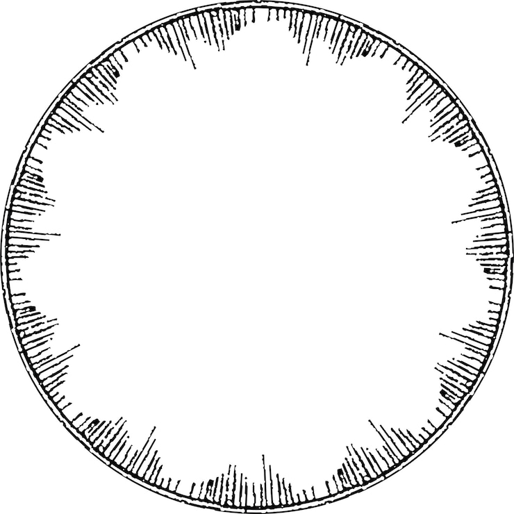 Vecteur iranien, arabe, islamique, eslimi, texte, cadre, grunge, vecteur