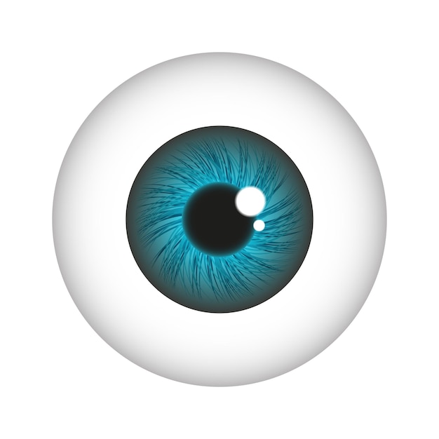 L'iris de l'œil est de couleur vert-bleu