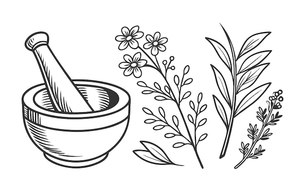 Isolé sur le blanc, un mortier en bois avec des herbes attend d'être broyé par son piston, un outil traditionnel pour