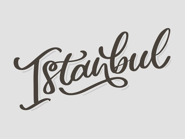 Istanbul Lettrage à La Main Logo Vectoriel D'istanbul En Couleur Noire Avec Mouettes Sur Fond Blanc Produits Souvenirs Bannière Emblème Voyage Blog Médias Sociaux Brochure Dépliant Illustration Numérique