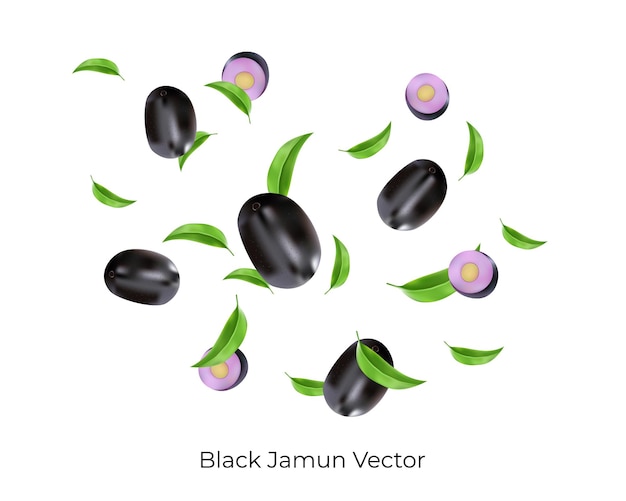 Vecteur jamun noir tombant ou volant avec des feuilles et des tranches