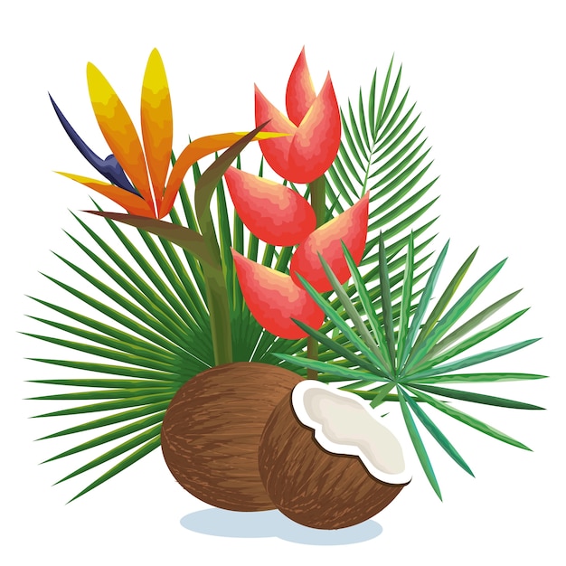 Vecteur jardin tropical avec noix de coco