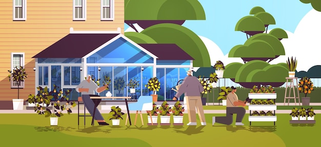 Vecteur jardiniers familiaux prenant soin des plantes en pot à l'arrière-cour à effet de serre ou à la maison jardin horizontal illustration vectorielle